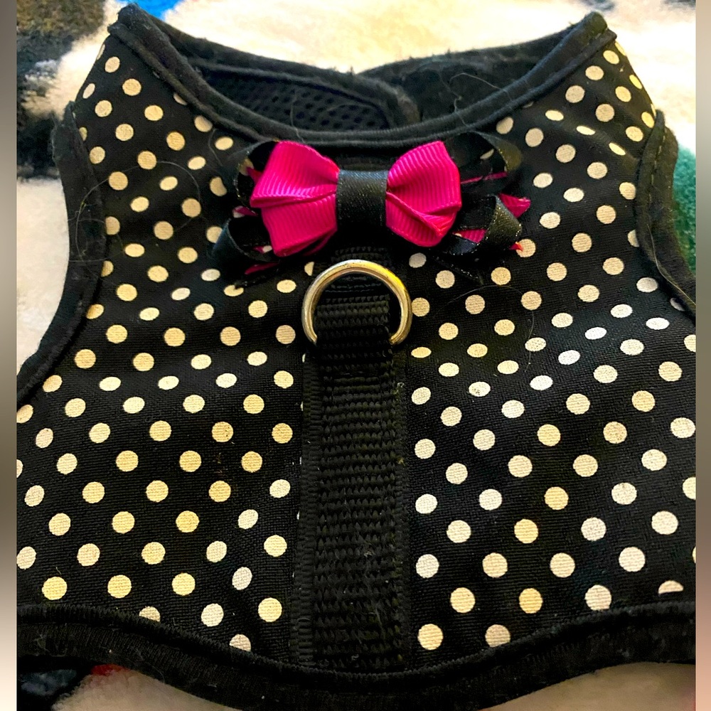 Top paw fun design harness for XXS size puppy